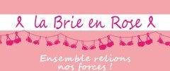 La Brie en Rose : exposition Corps et féminité