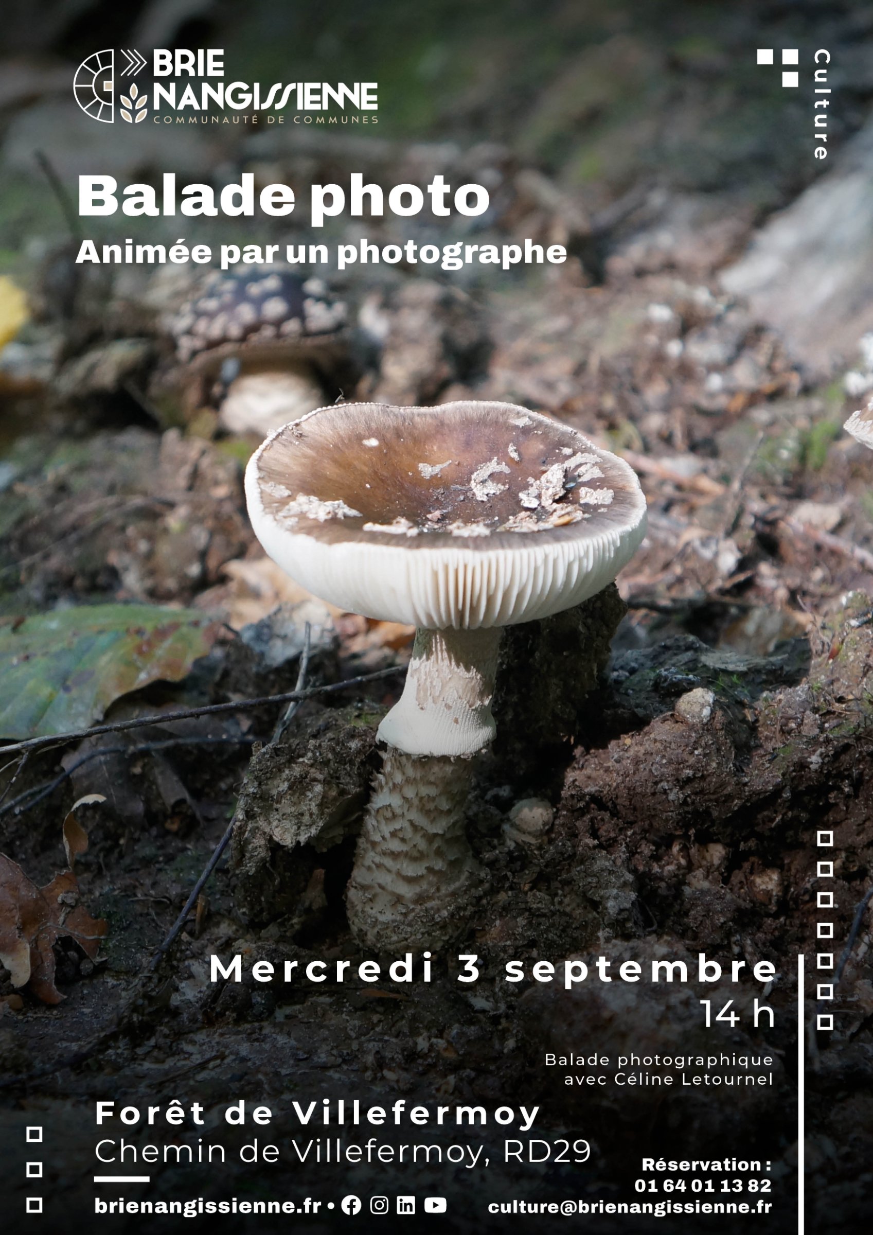 Affiche A3 Balade photo Villefermoy