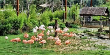 Septembre 2023 : La sortie à Parrot World