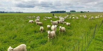 MAI 2024 : Visite de la ferme Pré Boudrot
