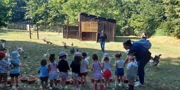 Juillet - Sortie à la ferme pédagogique de Saint Hilliers