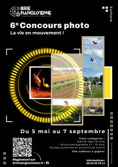 Affiche A3 6<sup class="typo_exposants">e</sup> Concours Photo - PDF